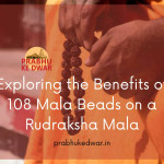 Harness the Power of Om Namah Shivay: Exploring the Benefits of 108 Mala Beads on a Rudraksha Mala
